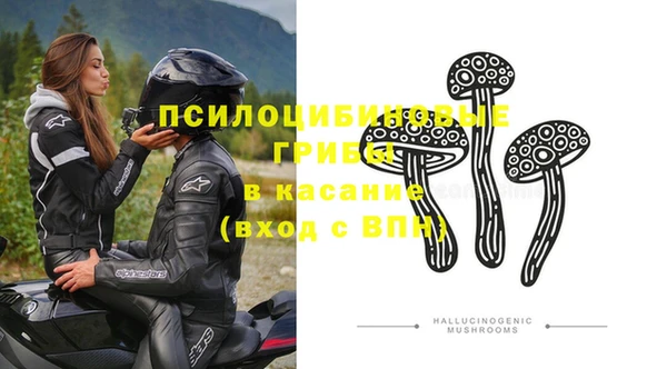 гидропоника Новокубанск