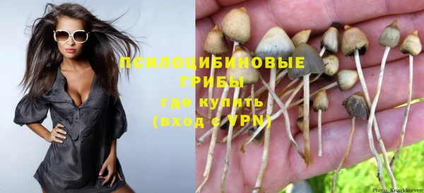 гидропоника Новокубанск
