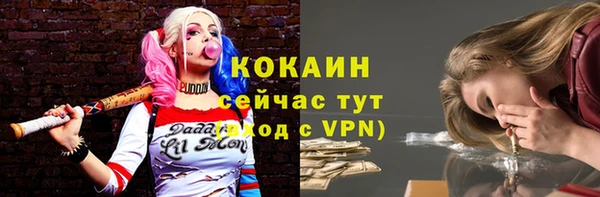 mix Новодвинск