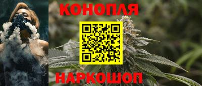 спайс Гагарин