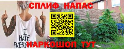 спайс Гагарин