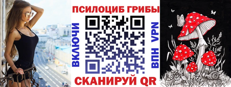 Псилоцибиновые грибы GOLDEN TEACHER  купить закладку  Светлоград 