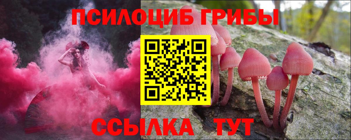 Галлюциногенные грибы мицелий  Галлюциногенные грибы MAGIC MUSHROOMS  Вход с VPN  Светлоград 