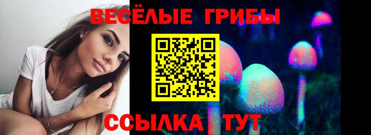 Галлюциногенные грибы прущие грибы Светлоград